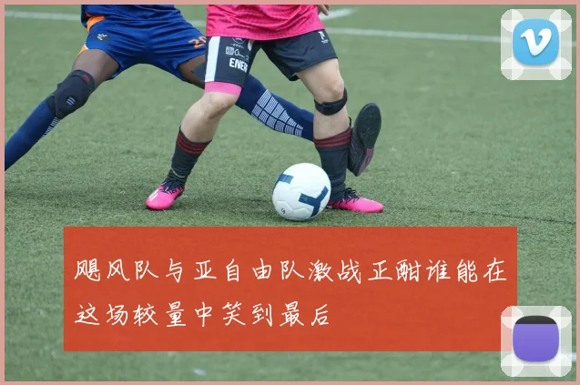 飓风队与亚自由队激战正酣谁能在这场较量中笑到最后
