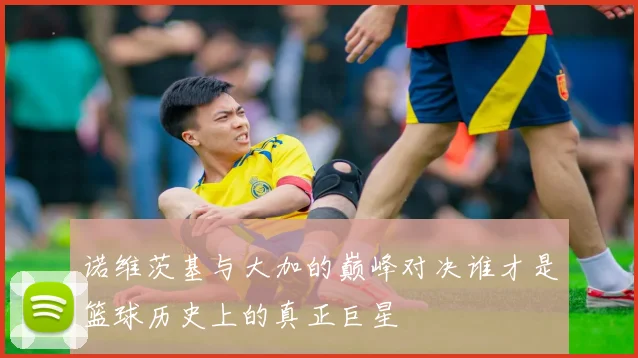 诺维茨基与大加的巅峰对决谁才是篮球历史上的真正巨星