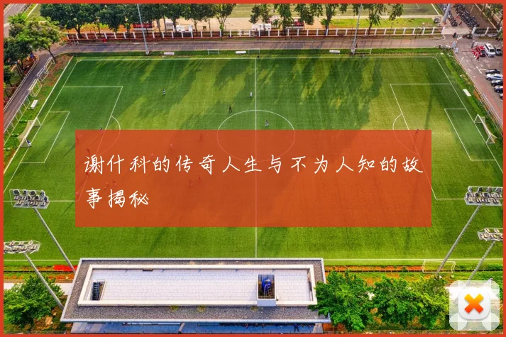 谢什科的传奇人生与不为人知的故事揭秘